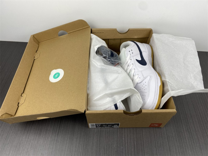 dunk low pro iso sb 