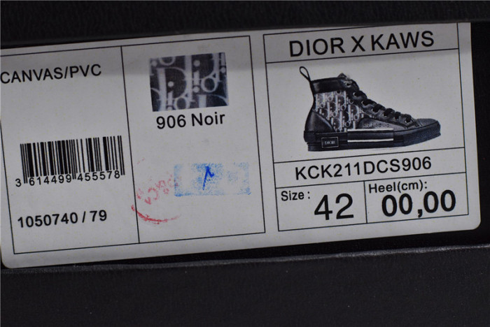 d10r b23 homme kaws high top sneaker