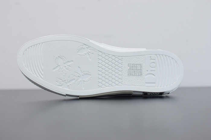 d10r b23 oblique low top sneaker
