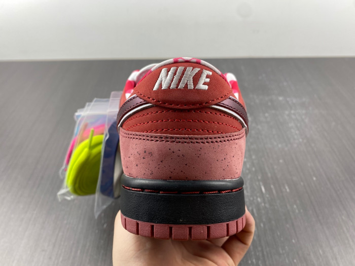 ike sb dunk low concepts red lobster -313170-661