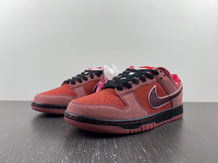ike sb dunk low concepts red lobster -313170-661
