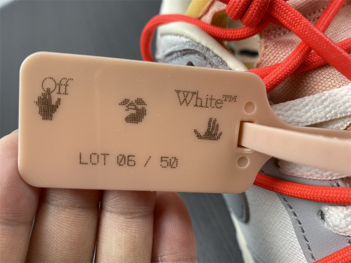 ofw x dunk low 