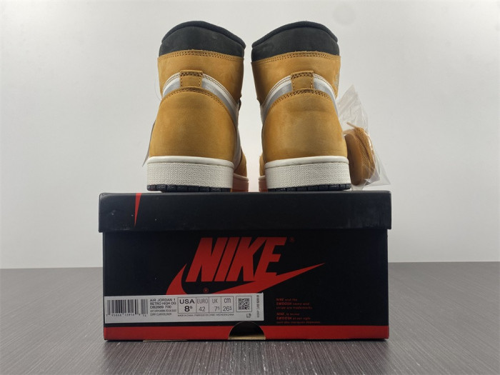jordan 1 high element gore-tex light curry - db2889-700