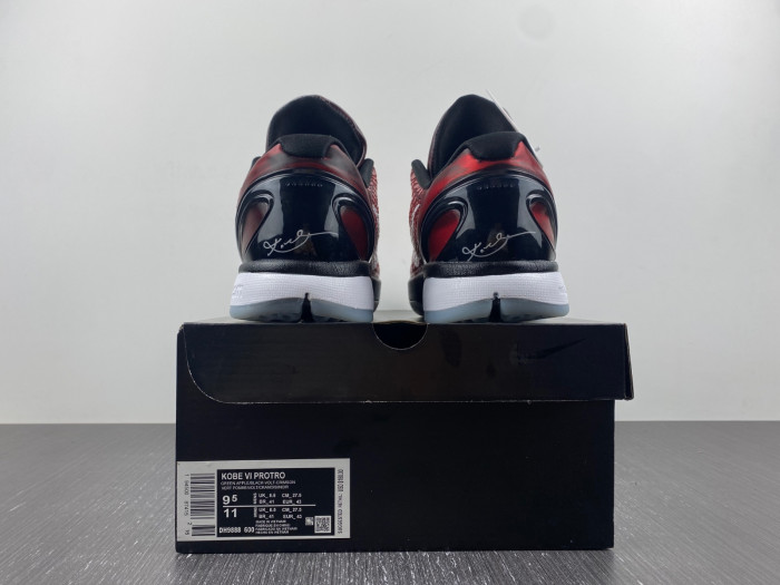 nike zoom kobe 6 protro 