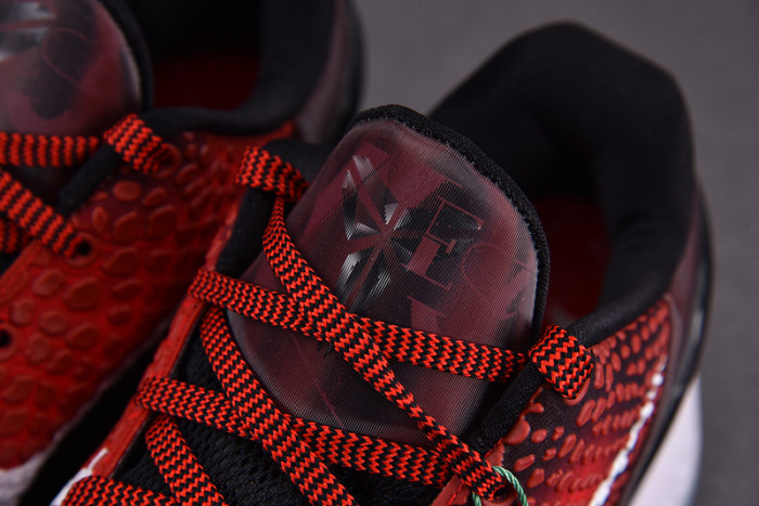 zoom kobe 6 protro 